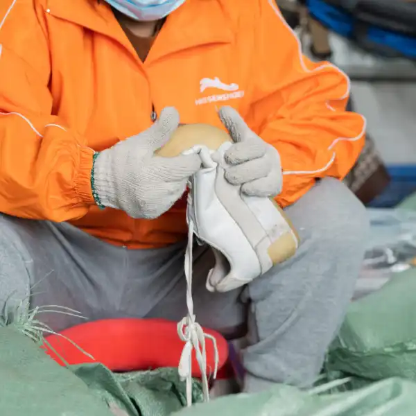 Inspeccion de Categoria Menor.webp