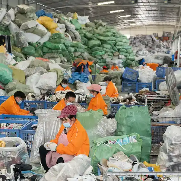 Inspeccion de Categoria Principal.webp